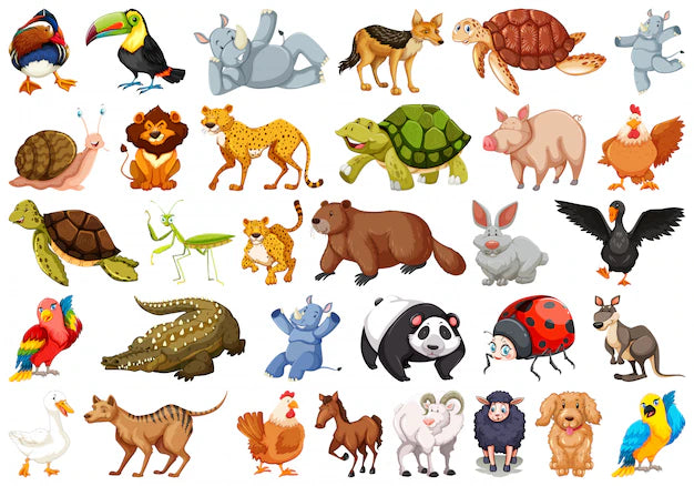 Animals