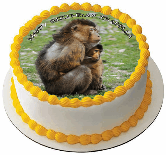 BARBARY MACAQUE MONKEY 7.5 PREMIUM Edible RICE CARD Cake Topper DECORATION D2