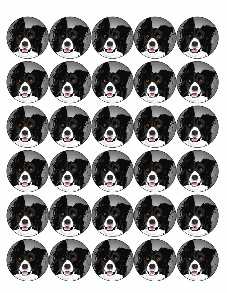 COLLIE DOG 30 x 4cm PREMIUM EDIBLE ICING ROUND CUP CAKE TOPPERS D1