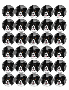 COLLIE DOG 30 x 4cm PREMIUM EDIBLE ICING ROUND CUP CAKE TOPPERS D1