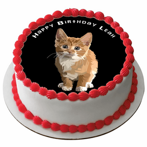 CAT 7.5" ROUND ICING EDIBLE PREMIUM CAKE TOPPER 19CM DIAMETRE KITTEN D3