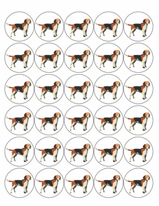 BEAGLE DOG 30 x 4cm PREMIUM EDIBLE ICING ROUND CUP CAKE TOPPERS D2