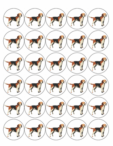 BEAGLE DOG 30 x 4cm PREMIUM EDIBLE ICING ROUND CUP CAKE TOPPERS D2