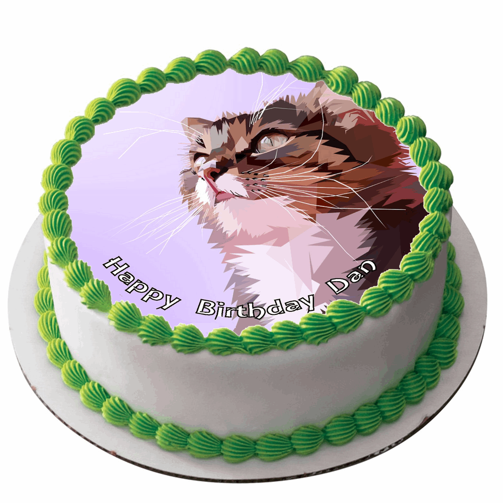 CAT 7.5" ROUND ICING EDIBLE PREMIUM CAKE TOPPER 19CM DIAMETRE D5