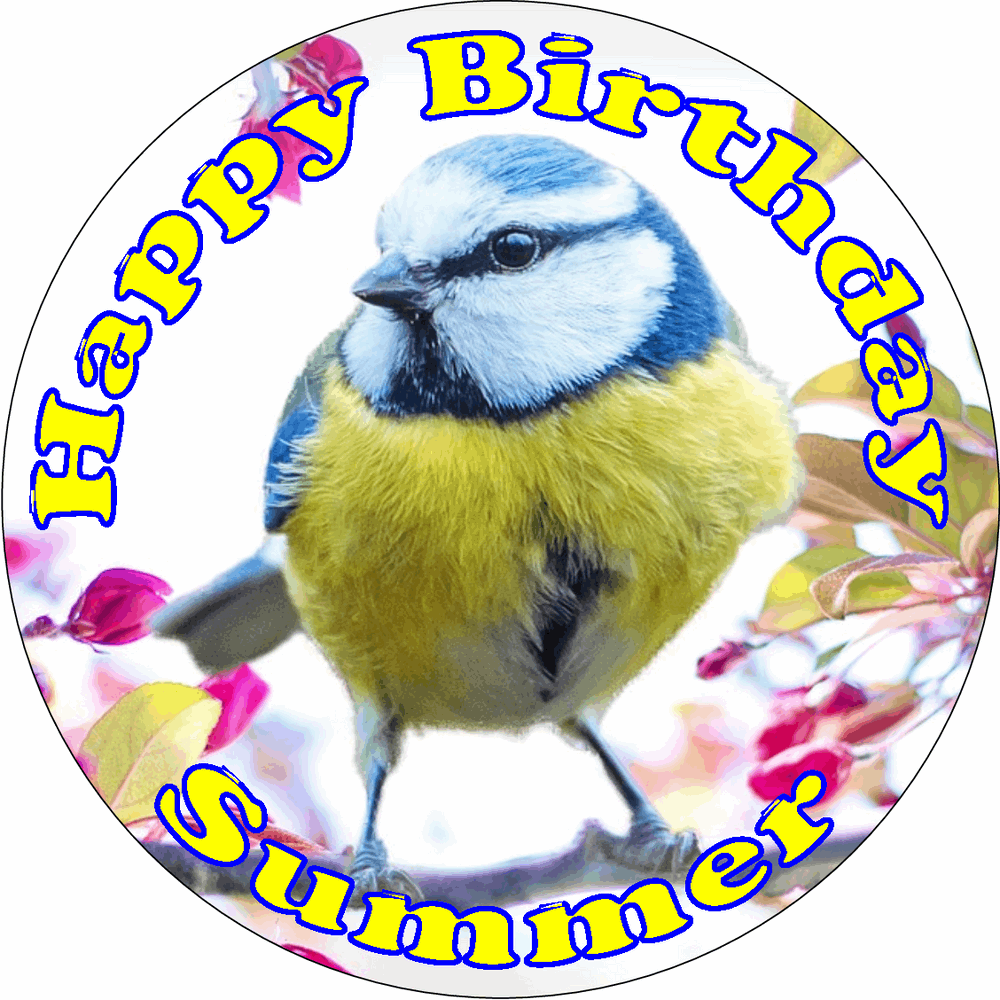 BLUE TIT BIRD 7.5" PREMIUM ICING EDIBLE ROUND CAKE TOPPER 19CM DIAMETRE BIRDS D1