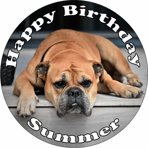 BULLDOG 7.5" PREMIUM Edible ICING Cake Topper CANINE mastiff DOG D3