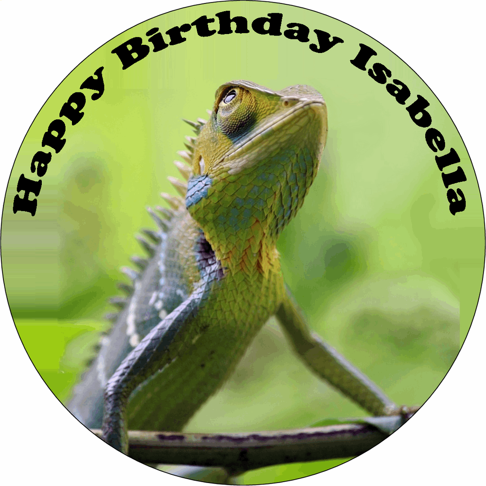 CHAMELEON 7.5" PREMIUM Edible ICING Cake Topper LIZARD ANIMAL DECORATION D2