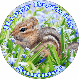 CHIPMUNK 7.5" PREMIUM Edible ICING Cake Topper CUTE RODENT ANIMALS D1