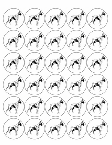 BOXER DOG 30 x 4cm PREMIUM EDIBLE ICING ROUND CUP CAKE TOPPERS D4