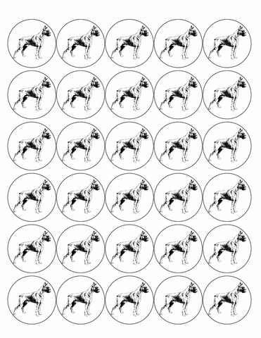 BOXER DOG 30 x 4cm PREMIUM EDIBLE ICING ROUND CUP CAKE TOPPERS D4