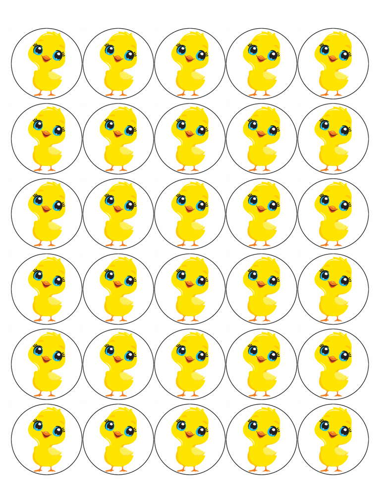 EASTER CHICK 30 x 4cm PREMIUM EDIBLE ICING ROUND CUP CAKE TOPPERS CUTE D35