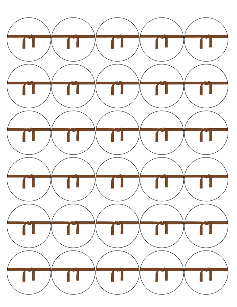 30 KARATE 40mm PREMIUM EDIBLE 4CM MARTIAL ART BROWN BELT CUPCAKE CAKE TOPPERS D3