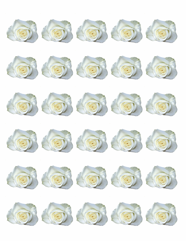 30 WHITE ROSE FLOWERS EDIBLE FLAT (NOT 3D) PREMIUM RICE PAPER CAKE TOPPERS D3