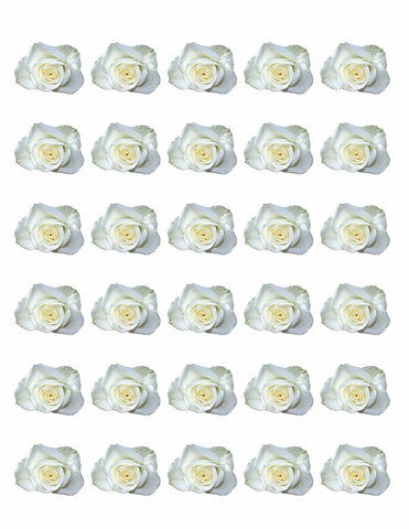 30 WHITE ROSE FLOWERS EDIBLE FLAT (NOT 3D) PREMIUM RICE PAPER CAKE TOPPERS D3