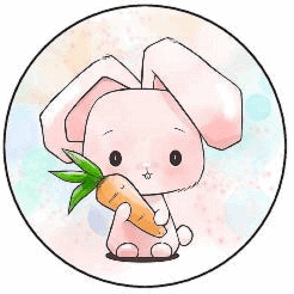 BUNNY RABBIT 30 x 4cm PREMIUM EDIBLE RICE PAPER ROUND CUP CAKE TOPPERS CUTE D3