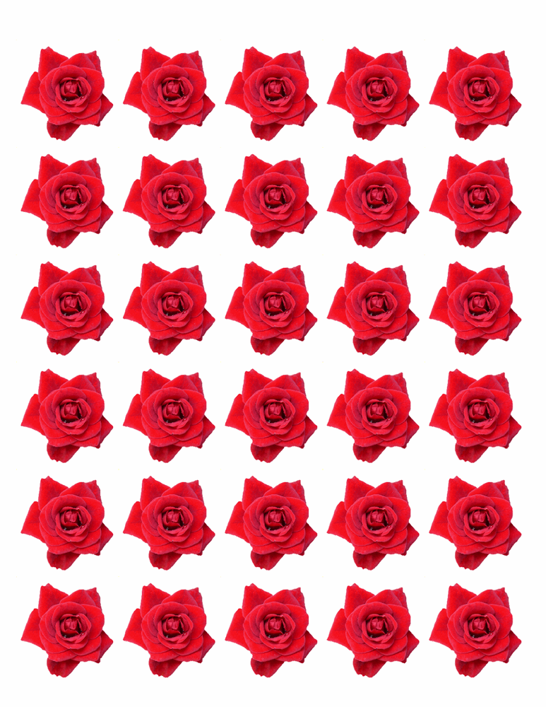 30x RED ROSE FLOWERS EDIBLE FLAT PREMIUM RICE PAPER CUP CAKE TOPPERS D1