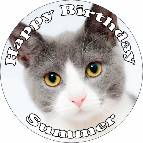 CAT 7.5" ROUND ICING EDIBLE PREMIUM CAKE TOPPER 19CM DIAMETRE KITTY KITTEN D8