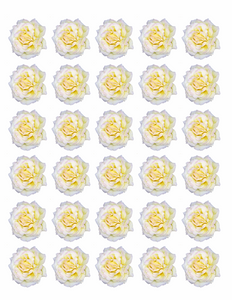 30x WHITE ROSE FLOWERS EDIBLE FLAT PREMIUM RICE PAPER CUP CAKE TOPPERS D1