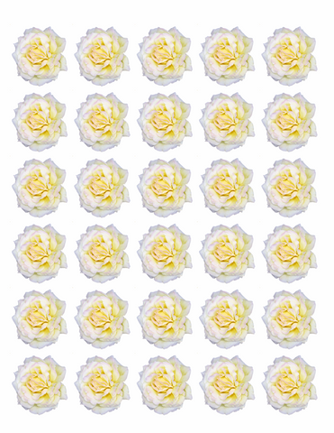 30x WHITE ROSE FLOWERS EDIBLE FLAT PREMIUM RICE PAPER CUP CAKE TOPPERS D1