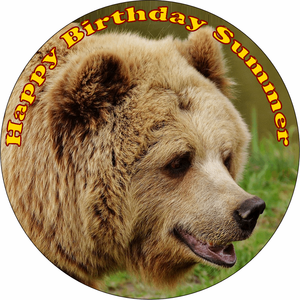 BEAR 7.5" ROUND ICING EDIBLE PREMIUM CAKE TOPPER 19CM DIAMETRE BROWN GRIZZLY D2