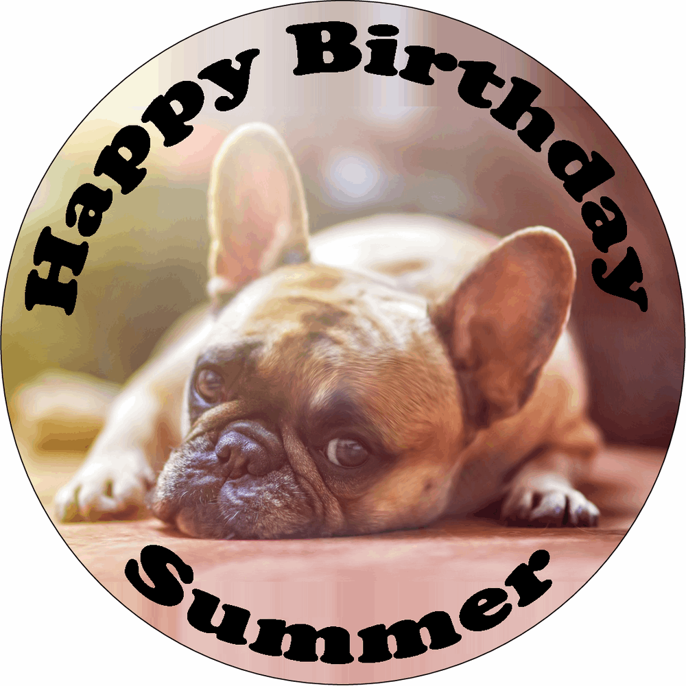 BULLDOG 7.5" PREMIUM Edible ICING Cake Topper CANINE mastiff DOG D2