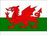 WALES - WELSH FLAG A4 ICING Cake Topper - Personalised - FREE P&P