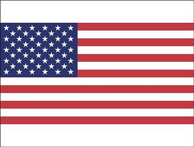 USA AMERICAN FLAG PREMIUM A4 RICE PAPER CAKE TOPPER CAN PERSONALISE TEXT D1