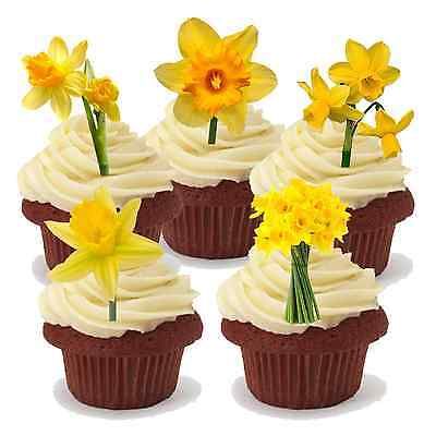 15x DAFFODIL MIX SPRING EASTER STAND UP Edible Cake Toppers Birthday ThankYou D1