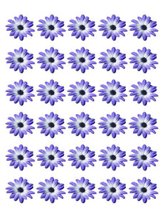 DAISY FLOWER 30 x 4cm PREMIUM EDIBLE RICE PAPER ROUND CUP CAKE TOPPERS BLUE D3