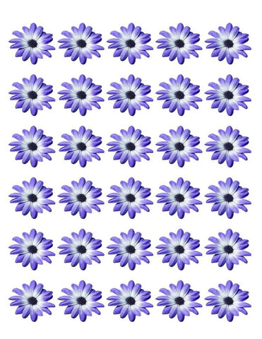 DAISY FLOWER 30 x 4cm PREMIUM EDIBLE RICE PAPER ROUND CUP CAKE TOPPERS BLUE D3