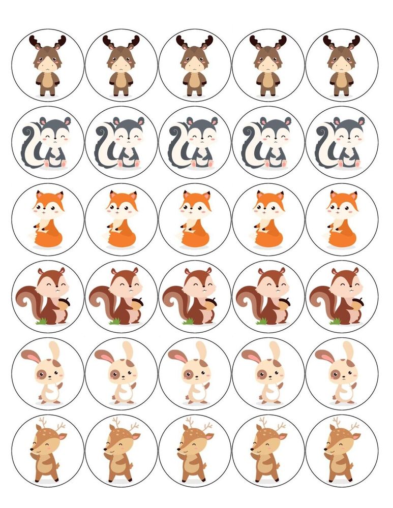 WOODLAND ANIMALS 30 x 4cm PREMIUM EDIBLE ICING ROUND CUP CAKE TOPPERS CUTE D1