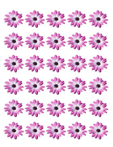 DAISY FLOWER 30 x 4cm PREMIUM EDIBLE RICE PAPER ROUND CUP CAKE TOPPERS PURPLE D2