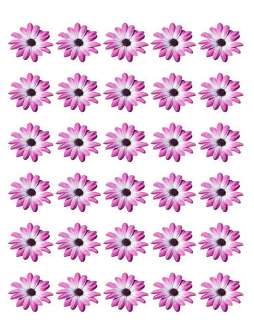 DAISY FLOWER 30 x 4cm PREMIUM EDIBLE RICE PAPER ROUND CUP CAKE TOPPERS PURPLE D2