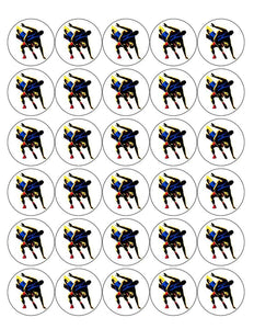 WRESTLING 30 x 4cm PREMIUM EDIBLE ICING ROUND CUP CAKE TOPPERS D1