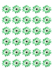 DAISY FLOWER 30 x 4cm PREMIUM EDIBLE ICING ROUND CUP CAKE TOPPERS GREEN D1