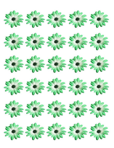 DAISY FLOWER 30 x 4cm PREMIUM EDIBLE ICING ROUND CUP CAKE TOPPERS GREEN D1