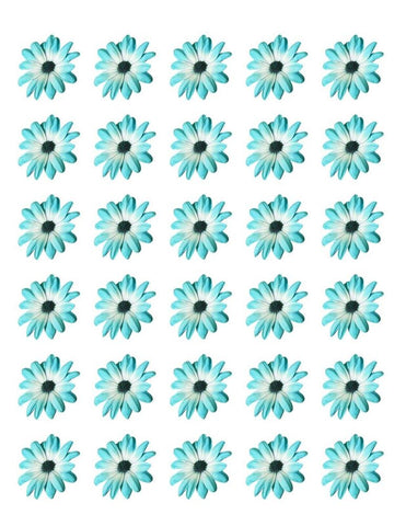 DAISY FLOWER 30 x 4cm PREMIUM EDIBLE RICE PAPER CUP CAKE TOPPERS AQUA BLUE D4