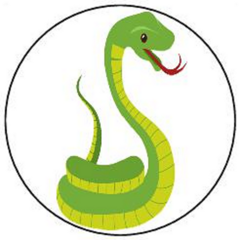 SNAKE 30 x 4cm PREMIUM EDIBLE RICE PAPER ROUND CUP CAKE TOPPERS CARTOON D4