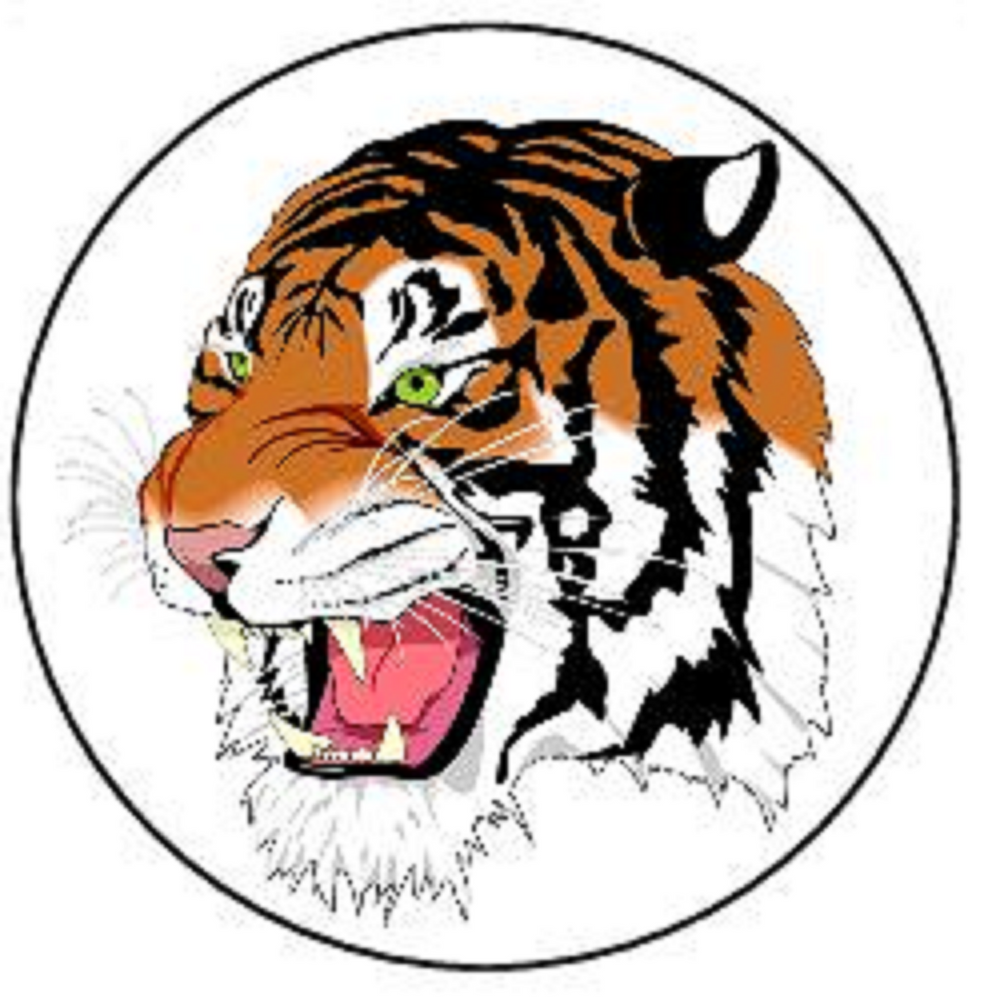 TIGER 30 x 4cm PREMIUM EDIBLE ICING ROUND CUP CAKE TOPPERS WID ANIMAL D3