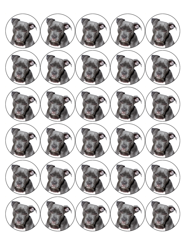 PITBULL DOG 30 x 4cm PREMIUM EDIBLE RICE PAPER ROUND CUP CAKE TOPPERS D2