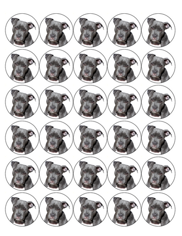 PITBULL DOG 30 x 4cm PREMIUM EDIBLE RICE PAPER ROUND CUP CAKE TOPPERS D2