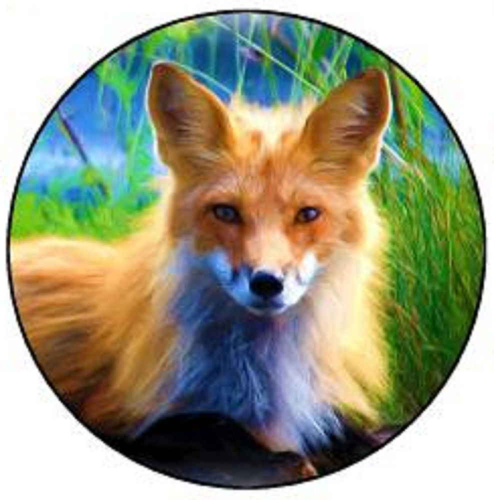 FOX 30 x 4cm PREMIUM EDIBLE RICE PAPER ROUND CUP CAKE TOPPERS WILD ANIMAL D1