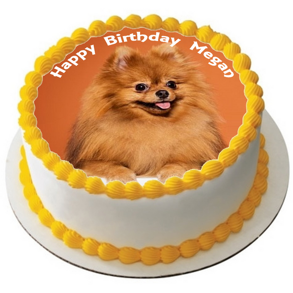 Pomeranian cake hotsell