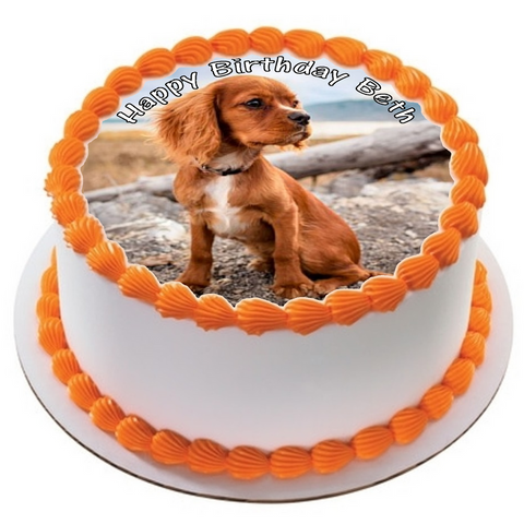 SPANIEL DOG 7.5" ROUND ICING EDIBLE PREMIUM CAKE TOPPER 19CM DIAMETRE PUPPY D1