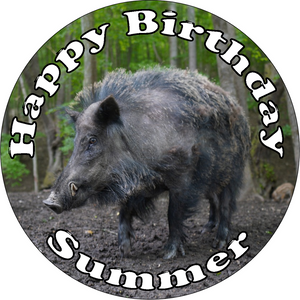 WILD BOAR 7.5" ROUND ICING EDIBLE PREMIUM CAKE TOPPER 19CM DIAMETRE PIG HOG D3