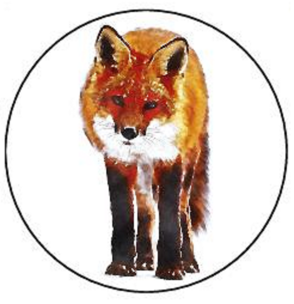 FOX 30 x 4cm PREMIUM EDIBLE ICING ROUND CUP CAKE TOPPERS WILD ANIMAL D2