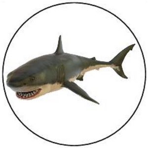 SHARK 30 x 4cm PREMIUM EDIBLE RICE PAPER ROUND CUP CAKE TOPPERS OCEAN ANIMAL D6