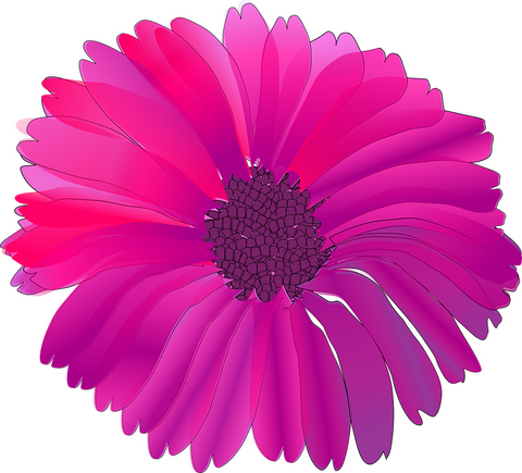 FUCHSIA FLOWER 30 x 4cm PREMIUM EDIBLE ICING ROUND CUP CAKE TOPPERS DRAWING D1 - KraftyDesigns