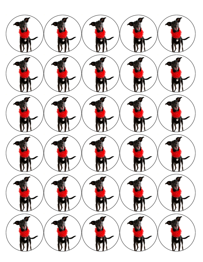 MIXED BREED DOG 30 x 4cm PREMIUM EDIBLE RICE PAPER ROUND CUP CAKE TOPPERS D1