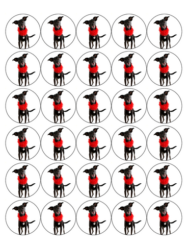 MIXED BREED DOG 30 x 4cm PREMIUM EDIBLE RICE PAPER ROUND CUP CAKE TOPPERS D1